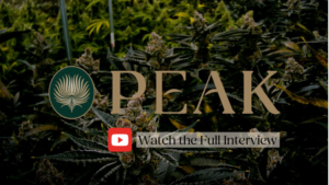 Peak cannabis logo and CTA over cannabis flower 