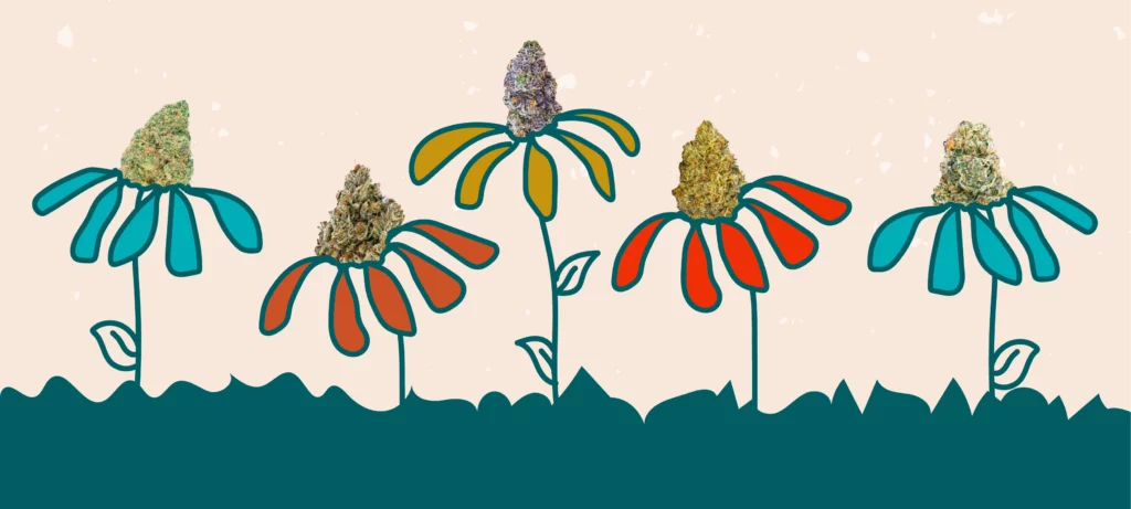 Illustration of colorful flowers with weed nug blossoms