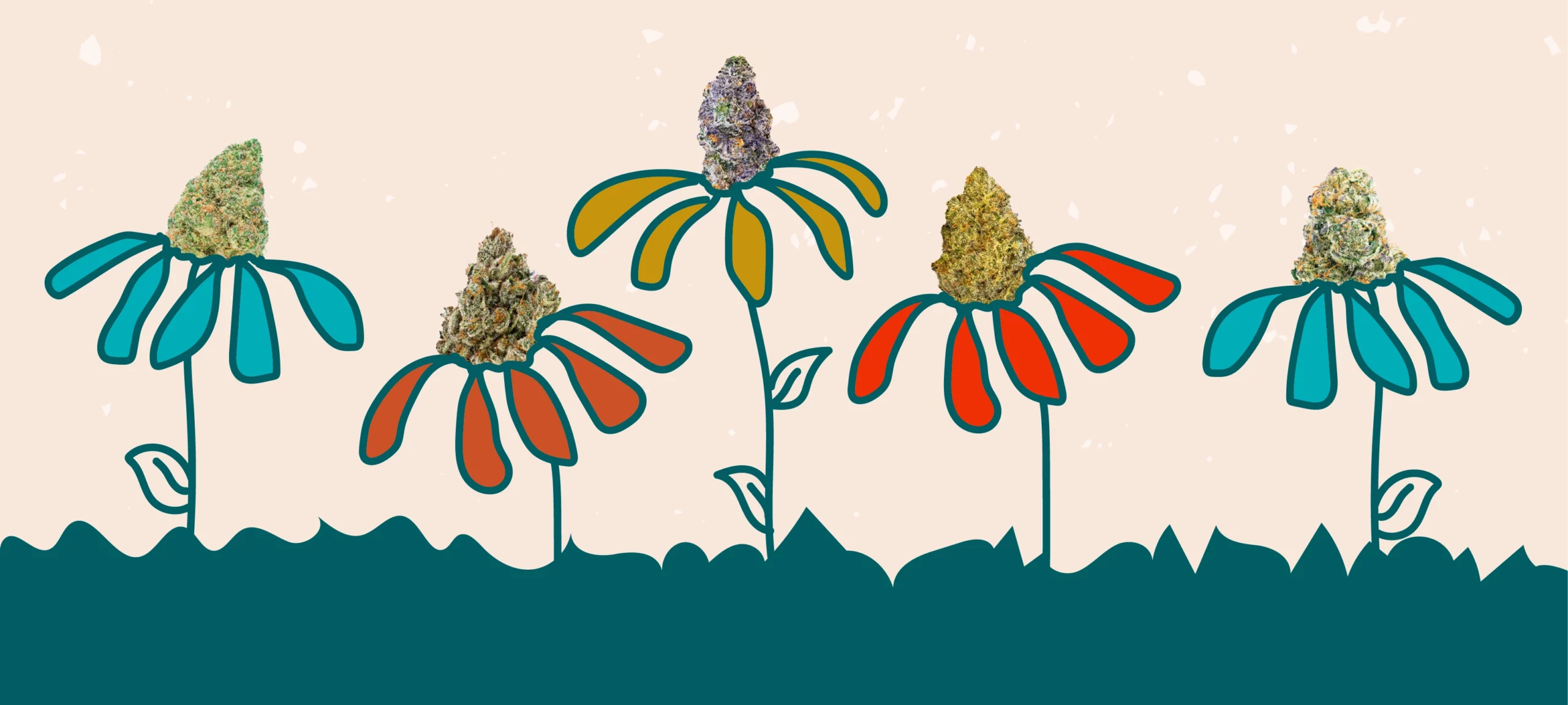 Illustration of colorful flowers with weed nug blossoms